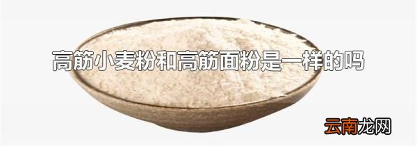 高筋小麦粉和高筋面粉是一样的吗