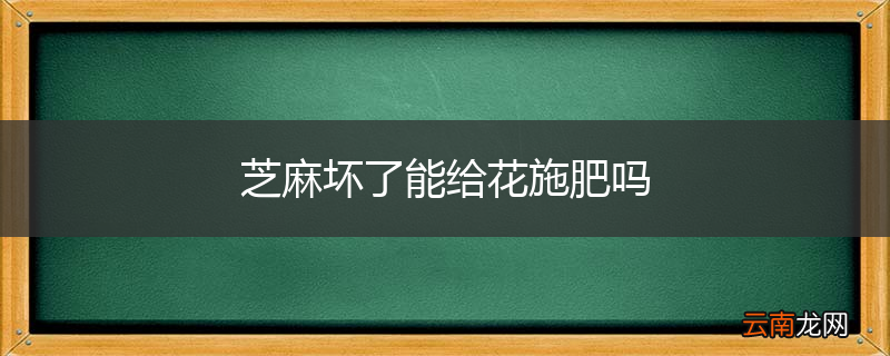 芝麻坏了能给花施肥吗