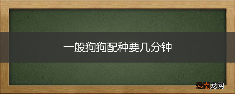 一般狗狗配种要几分钟