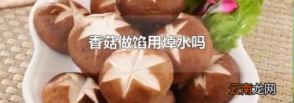 香菇做馅用焯水吗