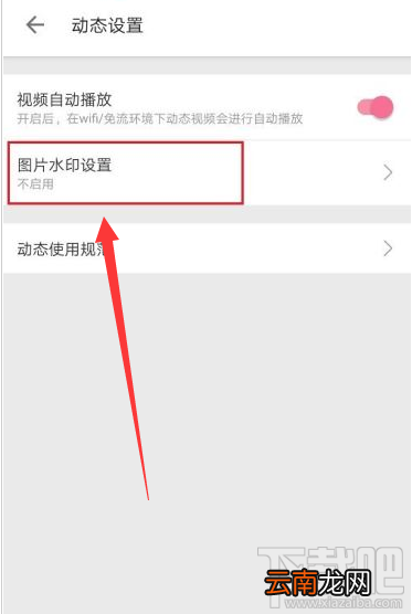 哔哩哔哩在哪设置图片水印?哔哩哔哩图片水印设置教程