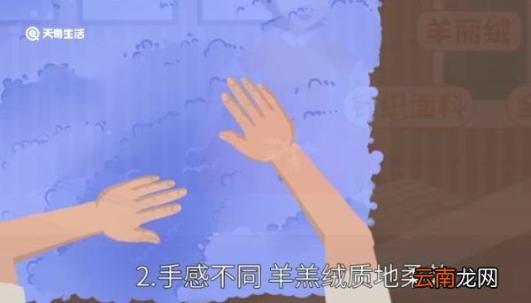 羊羔绒和摇粒绒的区别 羊羔绒和摇粒绒有什么区别