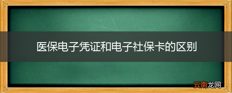 医保电子凭证和电子社保卡的区别