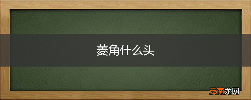 菱角什么头