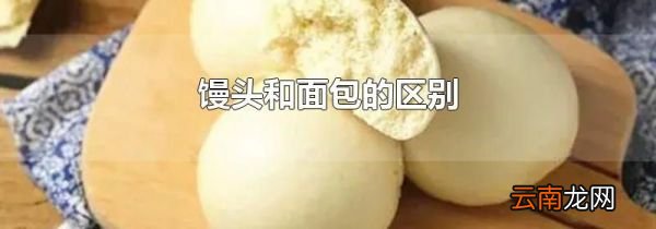 馒头和面包的区别
