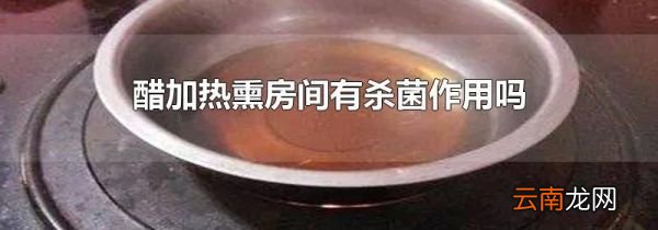 醋加热熏房间有杀菌作用吗