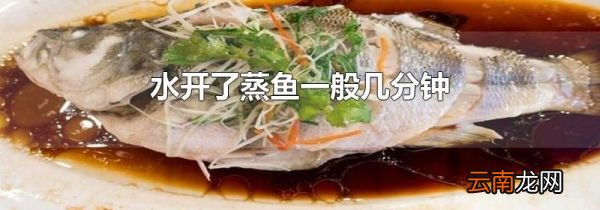 水开了蒸鱼一般几分钟