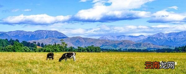 印度半岛地形特征 印度半岛的地形类型