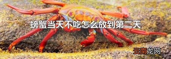 螃蟹当天不吃怎么放到第二天