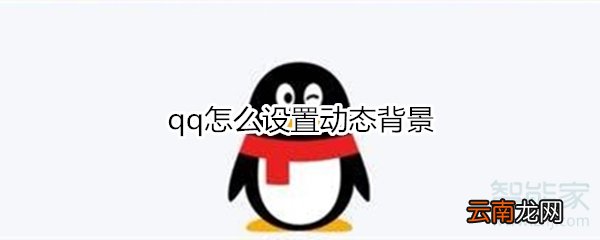 qq怎么设置动态背景