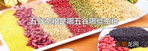 五谷杂粮是哪五谷哪些杂粮