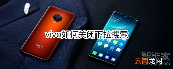 vivo如何关闭下拉搜索