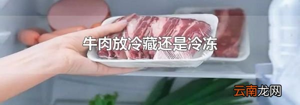 牛肉放冷藏还是冷冻