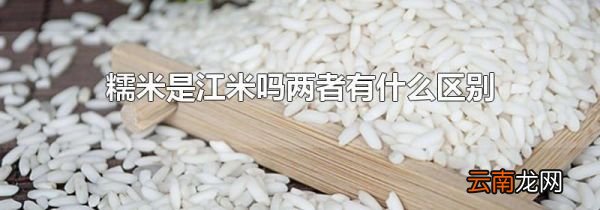 糯米是江米吗两者有什么区别
