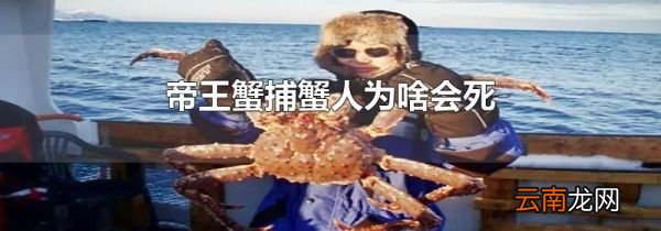 帝王蟹捕蟹人为啥会死