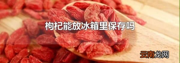 枸杞能放冰箱里保存吗