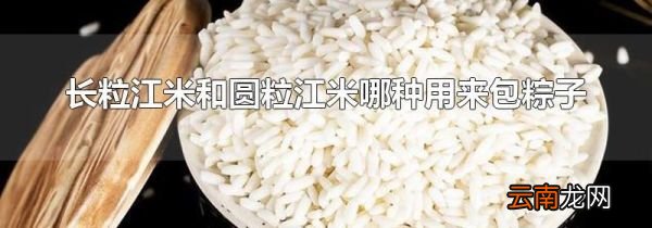 长粒江米和圆粒江米哪种用来包粽子