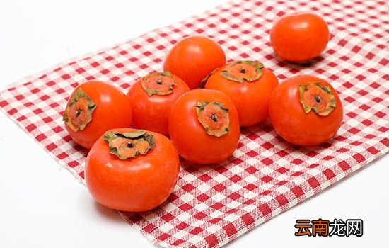 红柿子的功效与作用 红柿子的功效与作用是什么