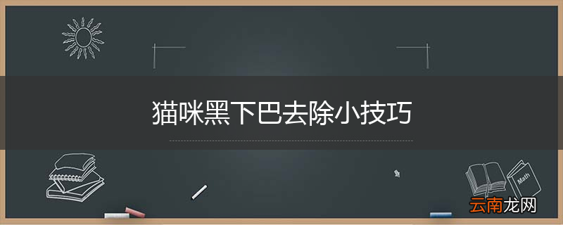 猫咪黑下巴去除小技巧