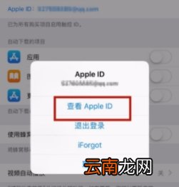 苹果如何绑定微信付款
