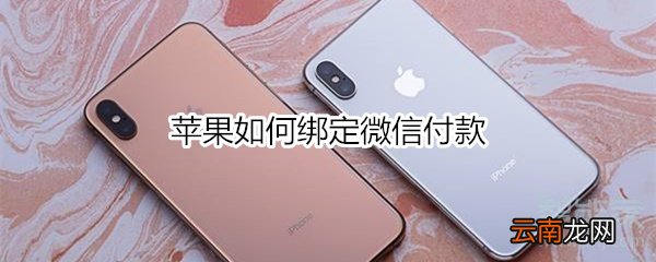 苹果如何绑定微信付款
