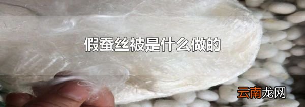 假蚕丝被是什么做的