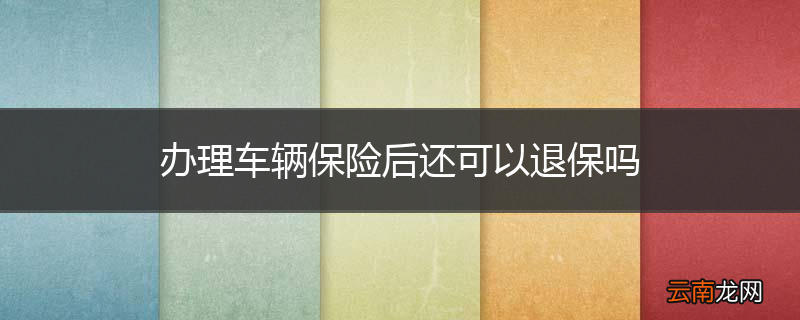 办理车辆保险后还可以退保吗