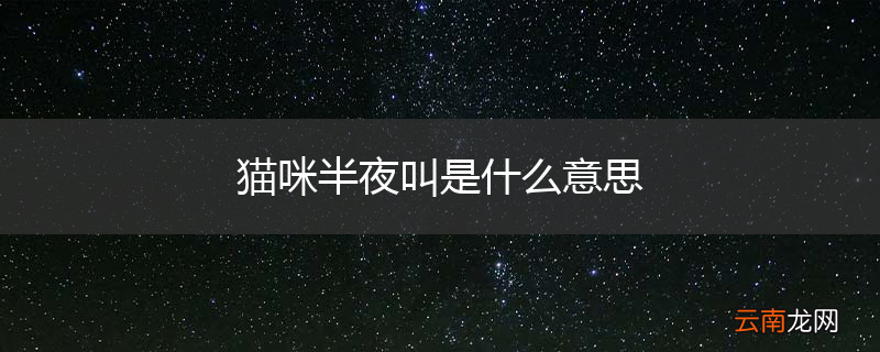 猫咪半夜叫是什么意思