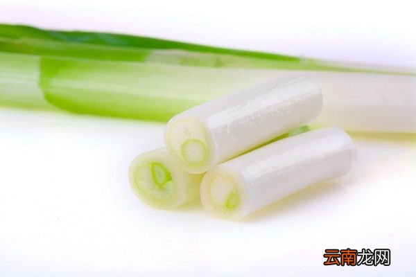 葱白的功效与作用 葱白的食用禁忌