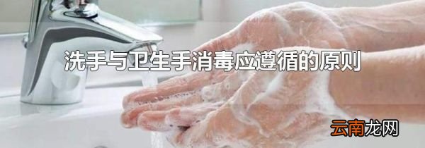 洗手与卫生手消毒应遵循的原则