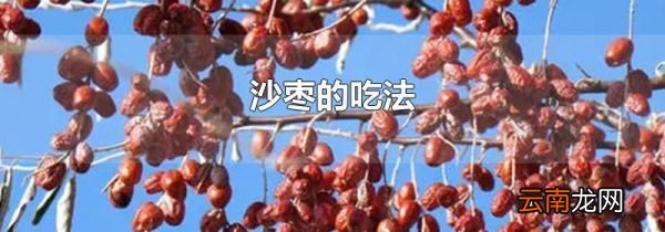沙枣的吃法