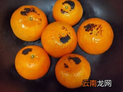 烤桔子怎么烤