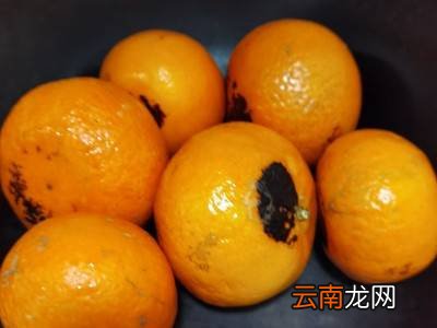 烤桔子怎么烤