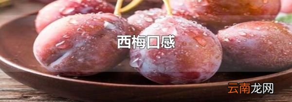 西梅口感