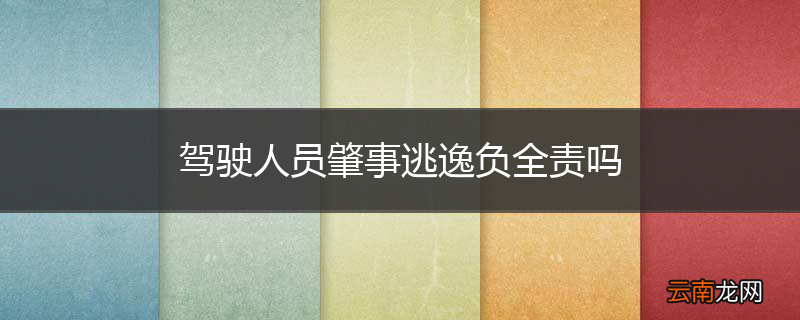 驾驶人员肇事逃逸负全责吗