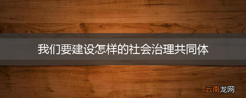 我们要建设怎样的社会治理共同体