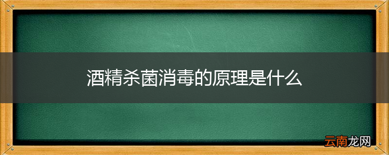 酒精杀菌消毒的原理是什么