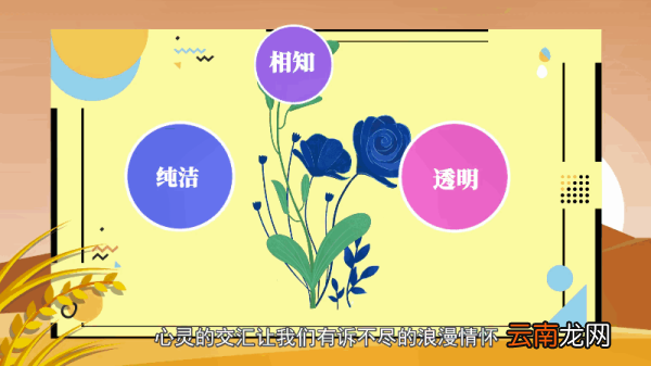 蓝玫瑰的花语 蓝玫瑰的花语是什么