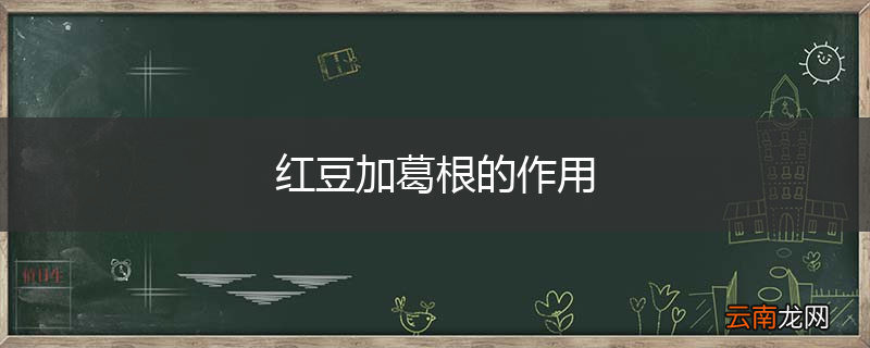 红豆加葛根的作用