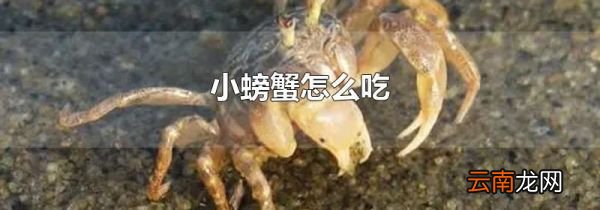 小螃蟹怎么吃