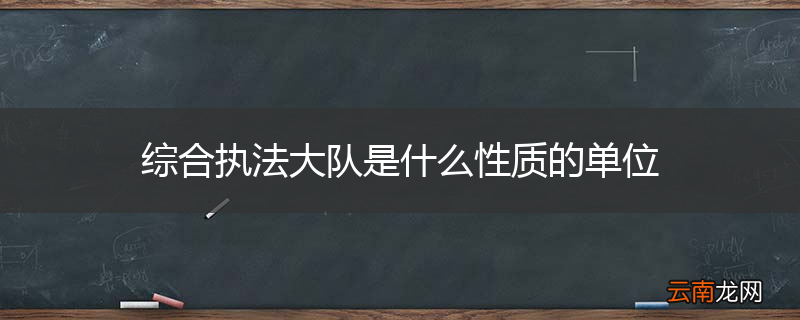 综合执法大队是什么性质的单位