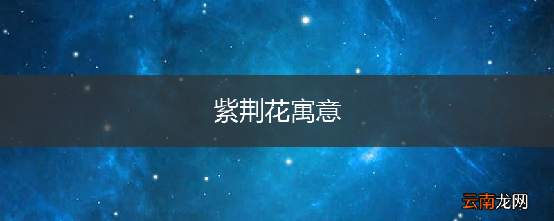 紫荆花寓意