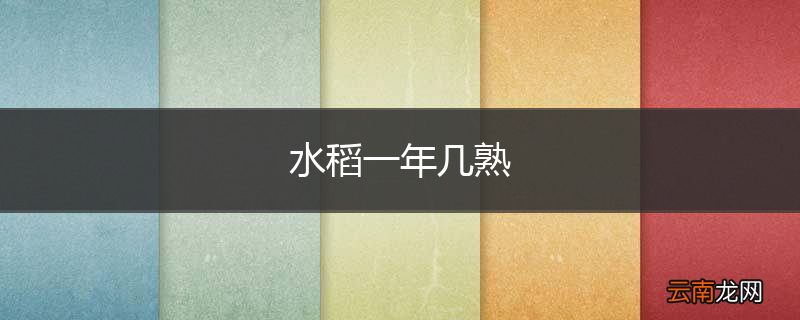 水稻一年几熟