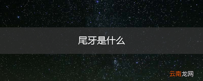 尾牙是什么
