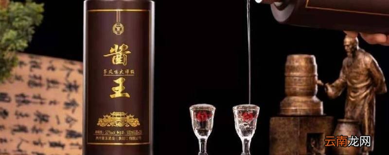 0009s是什么标准