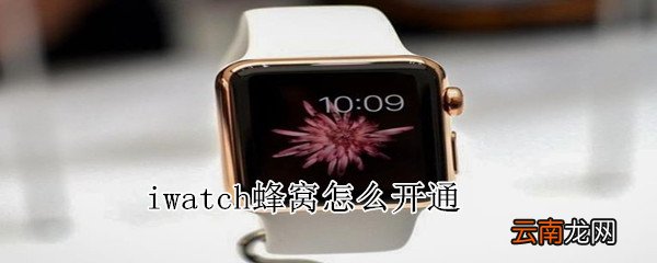 iwatch蜂窝怎么开通