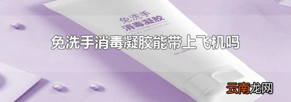 免洗手消毒凝胶能带上飞机吗
