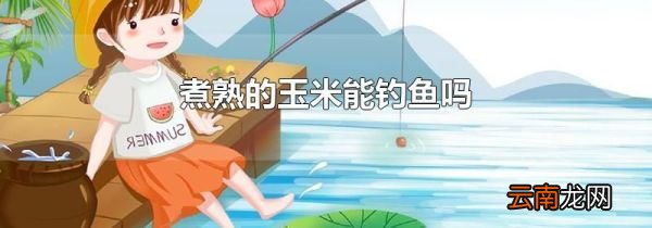 煮熟的玉米能钓鱼吗