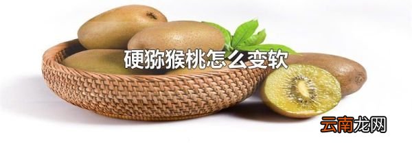 硬猕猴桃怎么变软