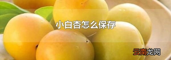 小白杏怎么保存